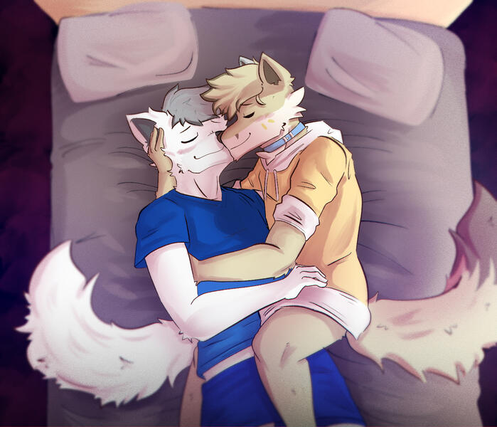 gayasses • @dom_doggo • 2023