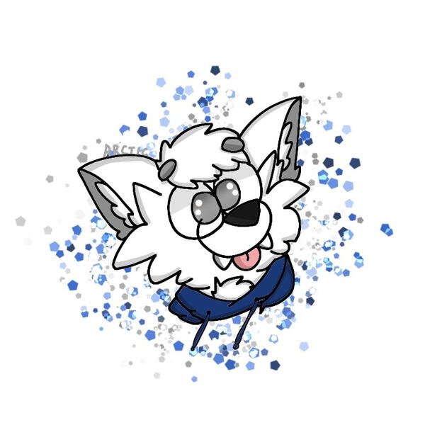 @boi_arctic • 2020